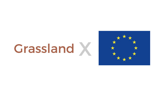 Grassland environnement TerraNIS