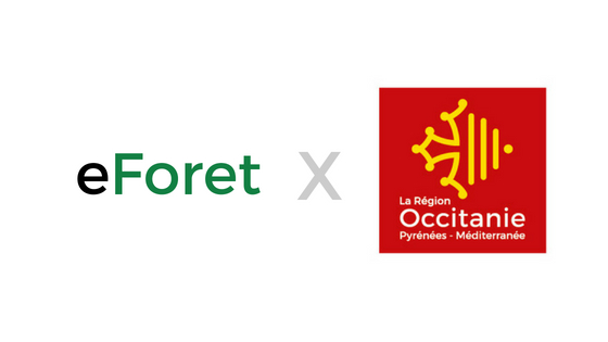 eForet environnement TerraNIS Land management - Suivi de zones forestières