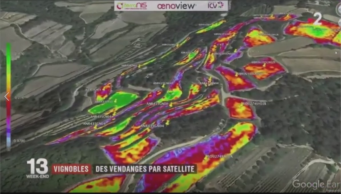 Oenoview, precision viticulture